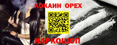 шишки Новодвинск