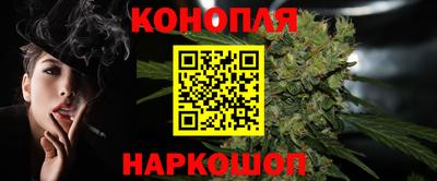 шишки Новодвинск