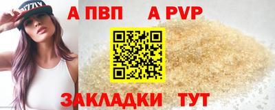 шишки Новодвинск