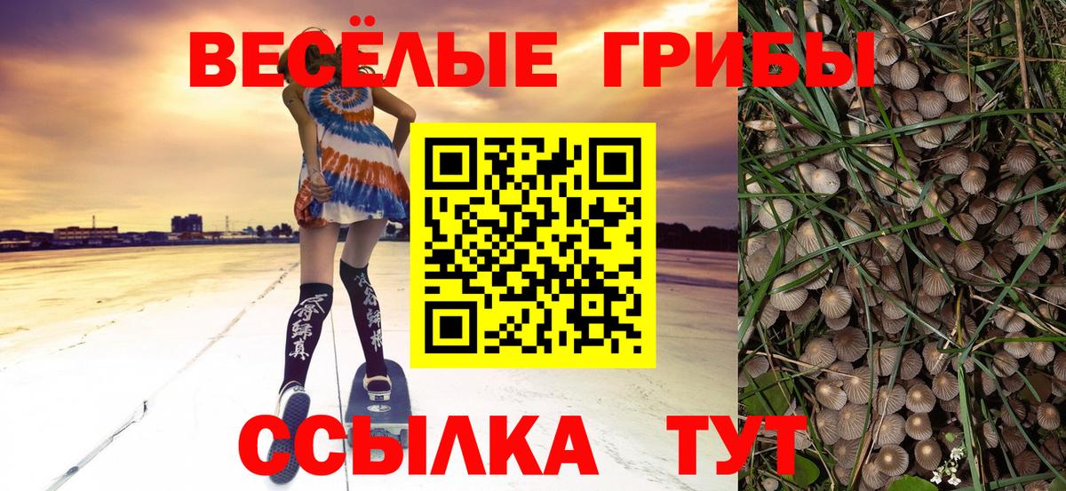 Стрежевой  Псилоцибиновые грибы Psilocybe  Вход с VPN 